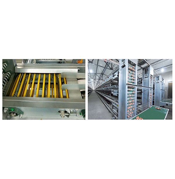 ��������ϵͳ