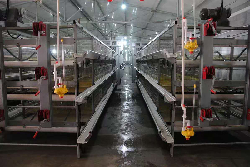 ��֪���⼦�豸���ϻ����������