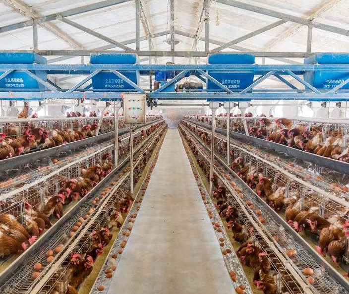 ʹ�õ����豸�񵰻�������