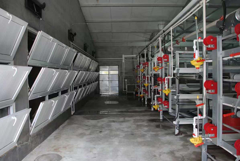 ��������⼦��ֳ�����⼦�豸��