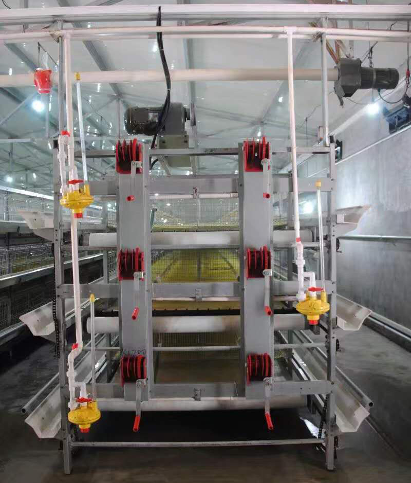 µçÄÔ×Ô¶¯Î¹È⼦Éè±¸Ñø¼¦Òª×¢Òâʲô µçÄÔ×Ô¶¯Î¹È⼦Éè±¸Ñø¼¦Òª×¢Òâʲô