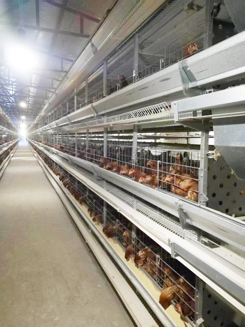 ��ֳ�õ����豸������Щ�������