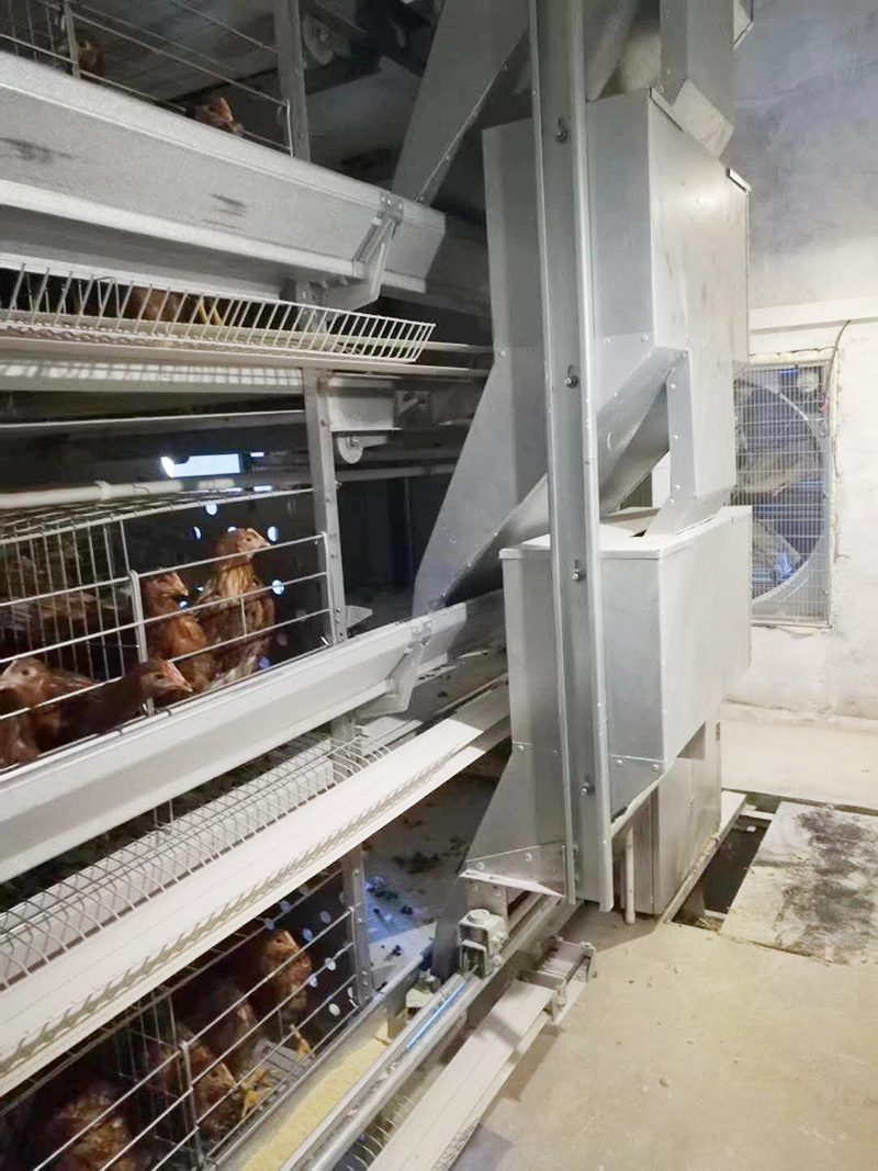 �������ʱ�׼�����豸 3��ֻ������1��