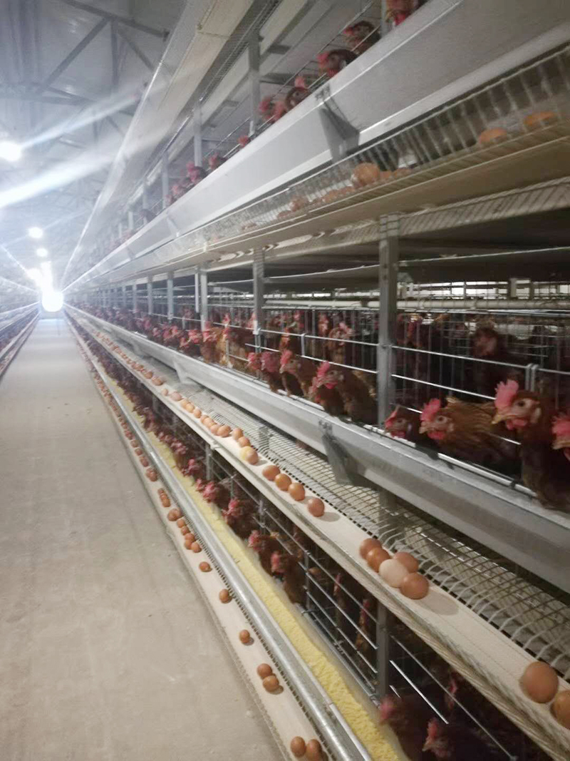 ��֪�������豸��װ��Ҫ������Щ����