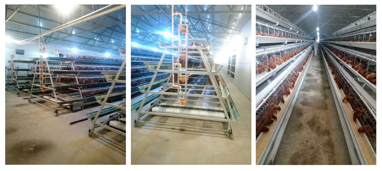 ��������ϵͳ