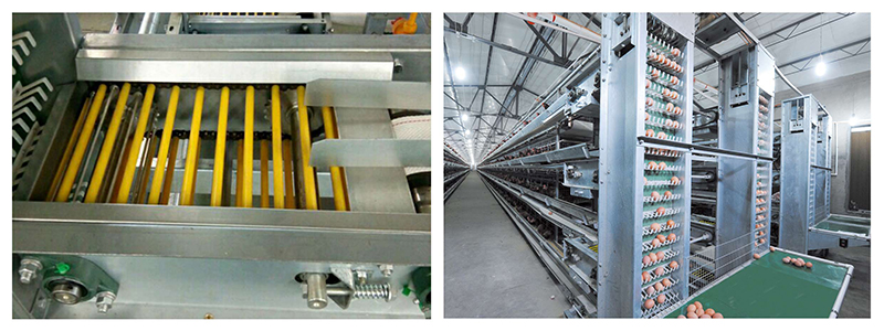 ��������ϵͳ