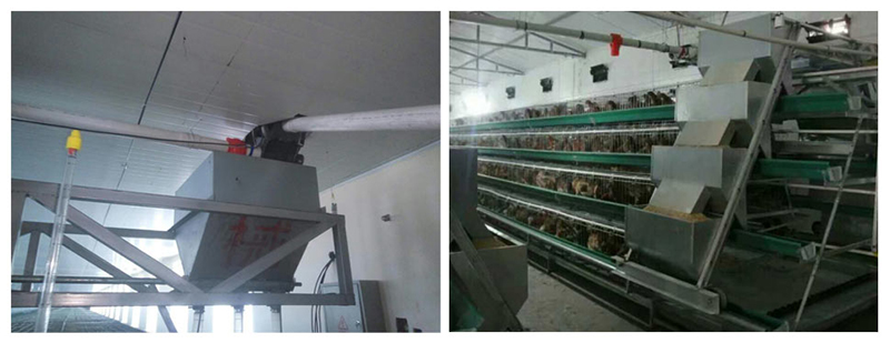 �⼦�Զ�����ϵͳ