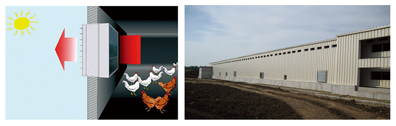 �����ڹ���