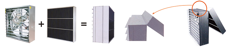 �����ڹ���