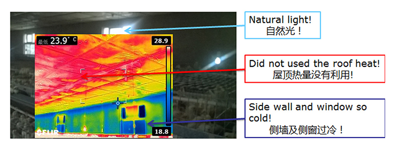 ����ʪ��������