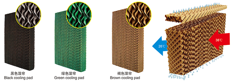 ��������ʪ��