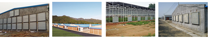 蛋鸡通风系统 蛋鸡通风系统