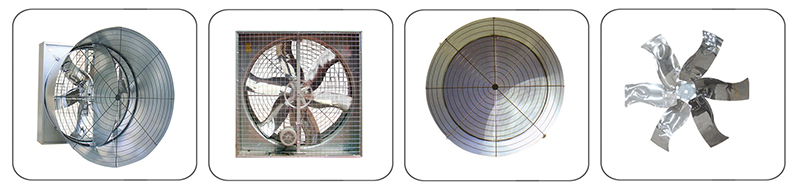 蛋鸡通风系统 蛋鸡通风系统