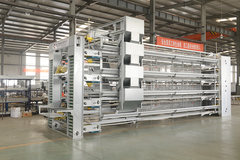 层叠式蛋鸡设备 层叠式蛋鸡设备