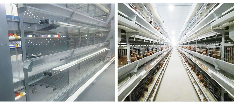 ��������ϵͳ