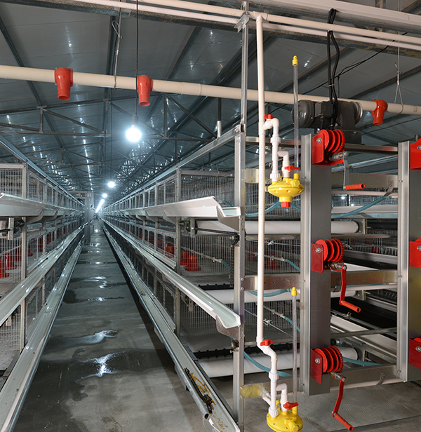 ʹ���⼦�豸������ֳ������