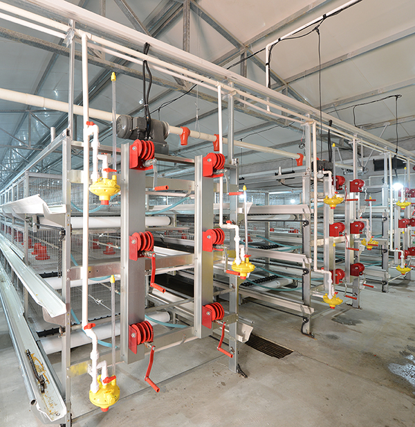 ��ʱk88���������⼦�豸����������������