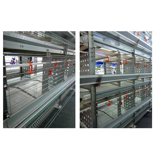 È⼦É豸³§¼ÒÆÊÎö¼¦²¡Æµ·¢µÄÔÒò È⼦É豸³§¼ÒÆÊÎö¼¦²¡Æµ·¢µÄÔÒò