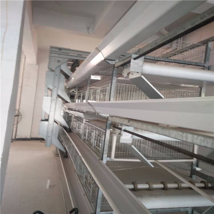 ȫ�Զ������豸